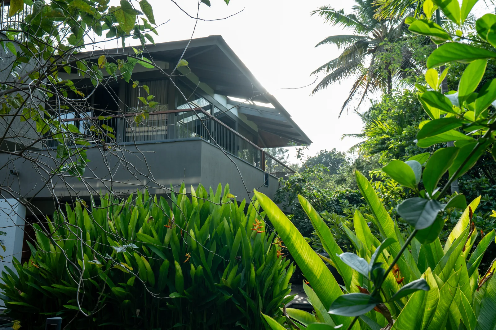 Premium suite room for wedding guests